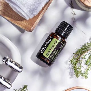 不刮碼 doTERRA多特瑞茶樹精油 15ml 上海公司貨簡體中文