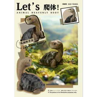 動物星球 心寬體胖 動物星雲 台灣代理 正版公司貨 Let's 爬體 孤獨喬治PLUS 加拉巴哥象龜 模型 手辦