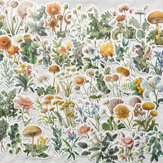 🐶《水彩風植物》A114全套 50張 植物 花卉 水彩風格DIY拼貼裝飾貼紙 手帳/筆記本/電腦/手機殼 裝飾貼畫