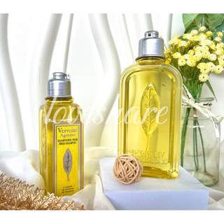 💛愛分享💛 L'OCCITANE 歐舒丹 果漾馬鞭草洗髮乳250ml 玫瑰洗髮乳240ml 全新台灣專櫃貨 附中文貼標