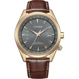 CITIZEN 星辰 亞洲限定 光動能電波萬年曆 腕錶 (CB0273-11H)
