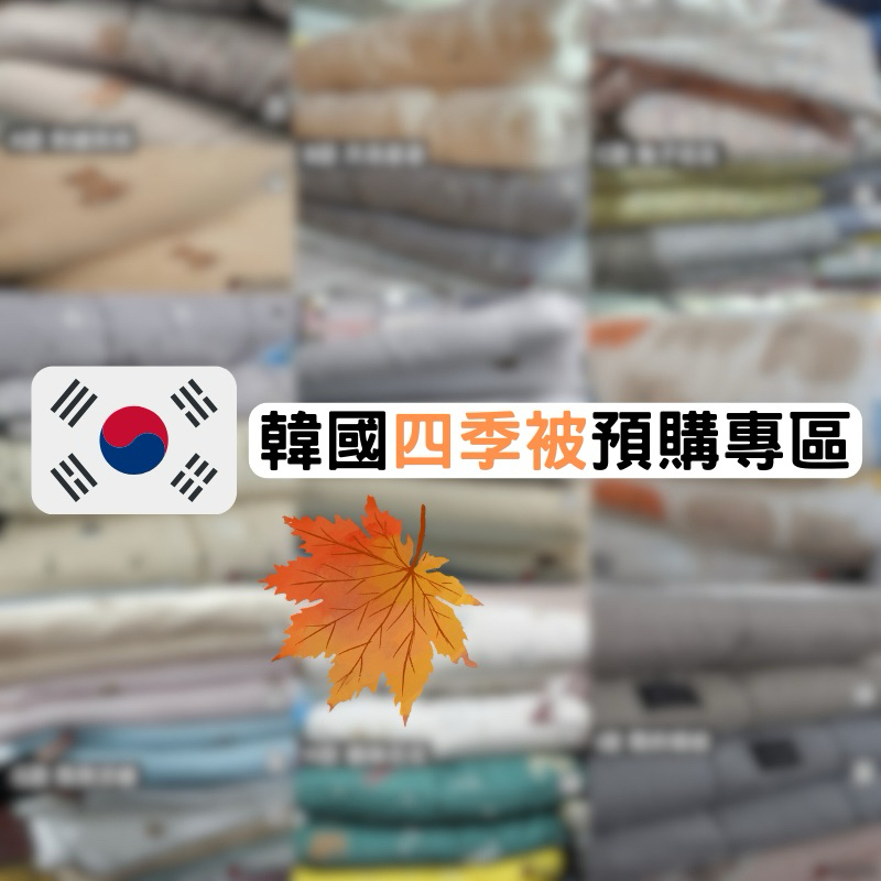 (預+現)韓國🇰🇷棉被 四季被 涼被 冬被 莫代爾 天絲 親膚材質 免運