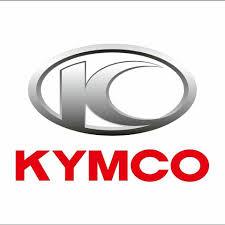 客訂專賣區 KTR150 原廠 油量指示控制器37810-LBF3-900 光陽KYMCO正廠零件