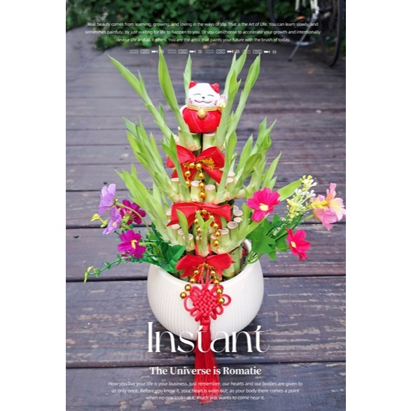 【歐式綠坊花苑】花團錦簇【gtb228】小花招財貓[節節高升型]開運竹盆栽~喜慶開幕.榮陞祝賀盆景~專人專車配送桃園中壢