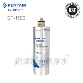 【愛惠浦】EVERPURE PURVIVE EF-1500 原廠公司貨 全流量強效碳纖維系列 濾心 銳韓水元素淨水