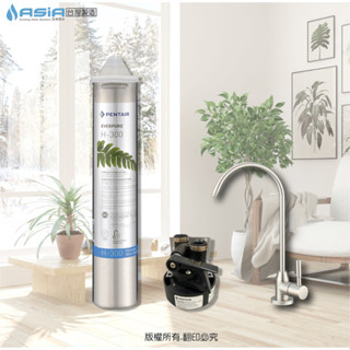 【亞洲淨水】單道式淨水器~採用【臺灣代理商公司貨】美國Everpure H-300型濾心QL3濾頭【免費安裝】