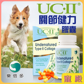吉沛思 UCII 樂倍多 關節健力膠囊 貓犬適用 關節 狗狗 貓咪 保養品