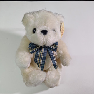 Teddy 泰迪熊 毛絨玩具 絨毛玩具 絨毛娃娃 娃娃(夾娃娃機商品)