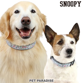 【PET PARADISE】寵物狗狗項圈 (3S/SS/S/SM/M)｜SNOOPY 2024新款 寵物項圈 中大型犬