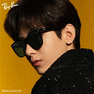 RayBan 雷朋 偏光太陽眼鏡 RB4423D 6019A-66mm 大方框 成毅配戴款 - 金橘眼鏡
