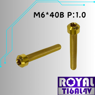 【瘋螺絲】ROYAL 鈦合金螺絲★ M6*40B P:1.0 錐形螺絲★ 64鈦/正鈦/鈦合金螺絲★出貨附發票★土豪金