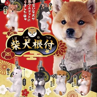 貓不乖💜臺灣現貨💜日本正版Tarlin柴犬根付吊飾 柴犬 吊飾 狗狗 根付 全6款 扭蛋 含蛋殼蛋紙