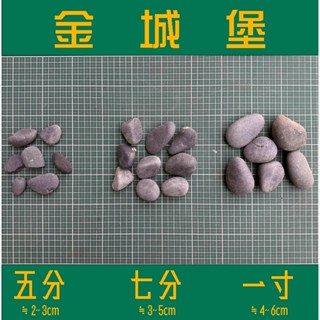 『免運』黑卵石 20kg/包 (鵝卵石 黑色 卵石 園藝 景觀 造景 魚缸 水族)《金城堡》