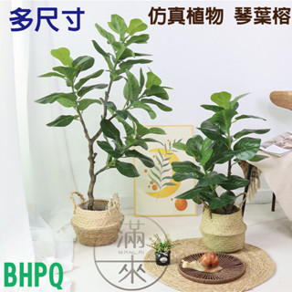 可開發票 多尺寸 北歐 模擬盆栽 琴葉榕 假植物盆栽 園藝 綠化植物 ins 網紅 居家佈置 美化環境 客滿來BHPQ