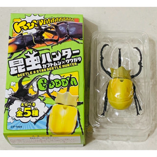甲蟲模型 鍬形蟲 獨角仙（已拆封未附糖果）