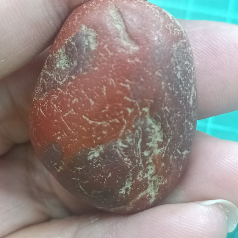 玉石系列 海洗石 國外碧玉 海藻玉 紅碧玉