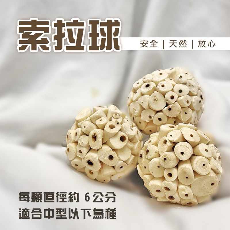 索拉球-轉售-我家鳥寶不賞臉😂