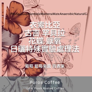 〖普羅斯咖啡〗淺焙｜衣索比亞 古吉 罕貝拉 花蝶 厭氧日曬特殊實驗處理法｜半磅｜