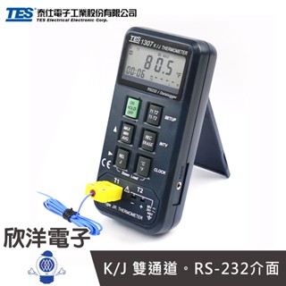 出清 TES 泰仕 K/J 記憶式溫度錶 雙通道輸入 RS232可接電腦 贈9V電池+K型熱電偶測線 TES-1307