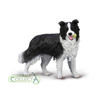 《 COLLECTA 》英國 Procon 動物模型系列邊境牧羊犬墨魚長鼻猴食蟻獸高山野山羊沃蘭德母馬【臺中宏富玩具】