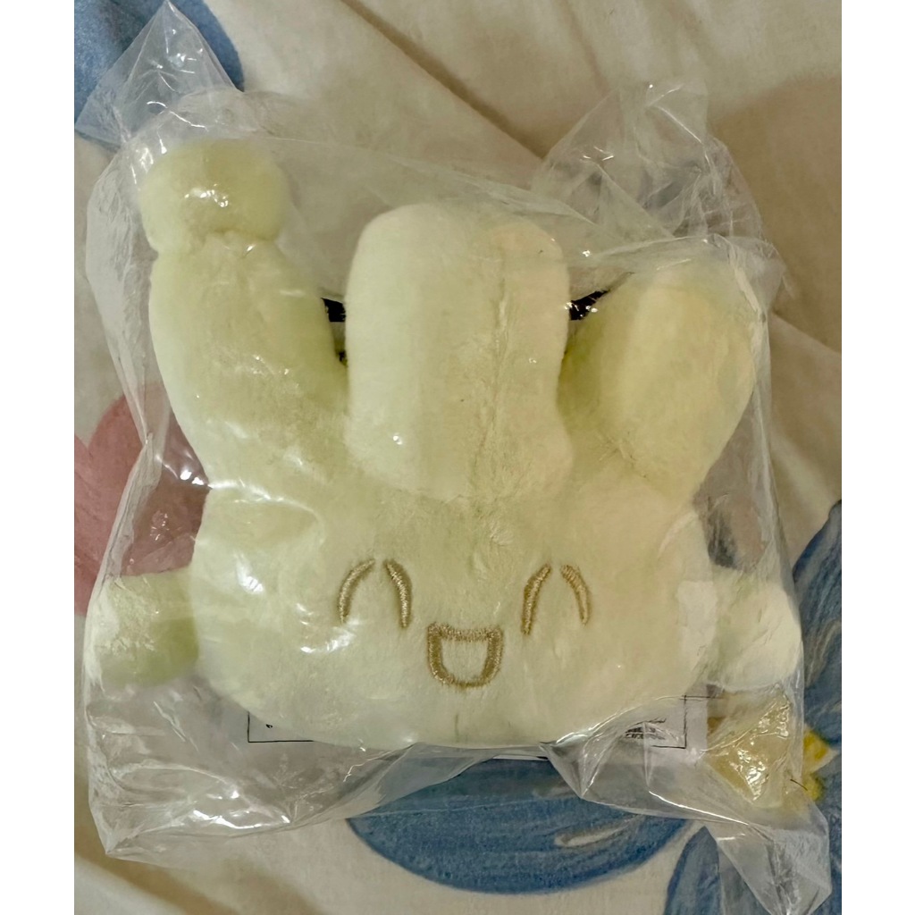 全新現貨！寶可夢 一番賞 POKEPEACE 在PEACE的夜晚 G賞 小仙奶 H賞 毛毯 寶可夢一番賞 神奇寶貝一番賞