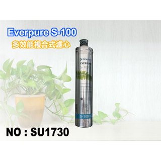【新裕淨水】Everpure S100濾心.淨水器.濾水器.過濾器(貨號SU1730)