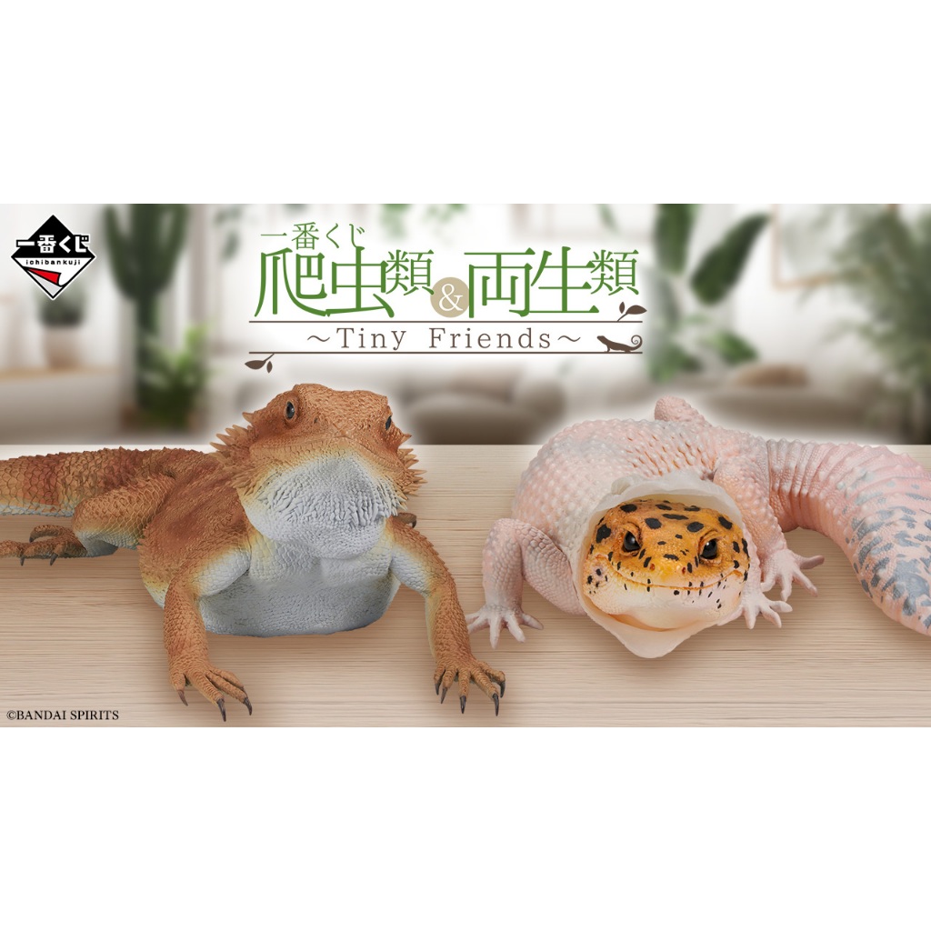 一番くじ 爬虫類&両生類〜Tiny Friends〜vol.2 C賞 D賞 一番くじ 爬虫類＆両生類 ～TinyFriends～vol.2 A賞 - メルカリ