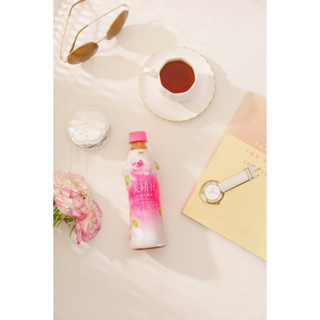 【Howdy】美研社 玫瑰花果茶 400ml 半箱12瓶 一箱24瓶