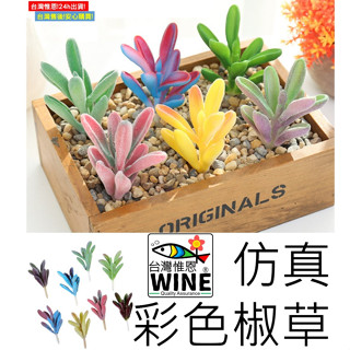 WINE臺灣惟恩 模擬彩色椒草 迷你多肉植物 多肉植物 彩色模擬多肉 仿真植物 模擬多肉 多肉 植物