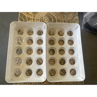 家用雞蛋收納盒冰箱專用 塑膠託蛋架
