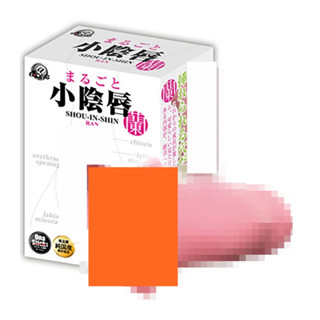 ㊣送290ml潤滑液㊣日本A-one完美小陰唇-蘭(少女緊致款)夾吸自慰套男用非貫通自慰器飛機杯成人情趣用品 自慰杯自慰