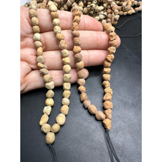D9889 天然泰國龍宮舍利 跳出舍利 項鍊 DIY 墜飾 墜子 專用綁繩