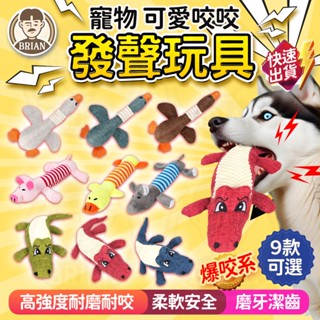 寵物耐咬玩偶【24H快速出貨🚚】寵物發聲玩具 紓壓玩具 寵物玩偶 發聲磨牙玩具 寵物陪伴玩具 狗玩具 拉扯玩具 互動玩具
