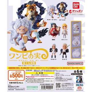 【Plutopia】BANDAI 航海王果實公仔P19 扭蛋 整套6款