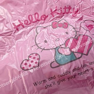 三麗鷗Sanrio正版授權Hello Kitty前開式成人雨衣長雨衣騎車雨衣