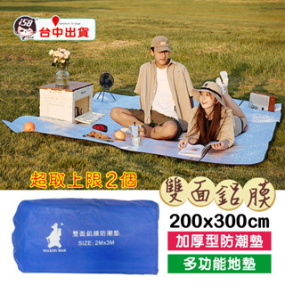臺灣現貨雙面鋁膜墊 200×300 露營 防潮墊 野餐墊 防汙地墊 鋁膜氣泡遮陽擋 汽車隔熱檔板 登山 戶外 露營墊