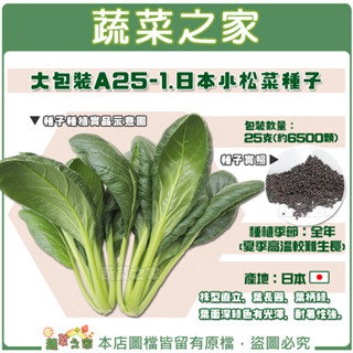 【蔬菜之家滿額免運】大包裝A25-1.日本小松菜種子25克(約6500顆) // 株型直立，葉長圓，葉柄綠，葉面深綠