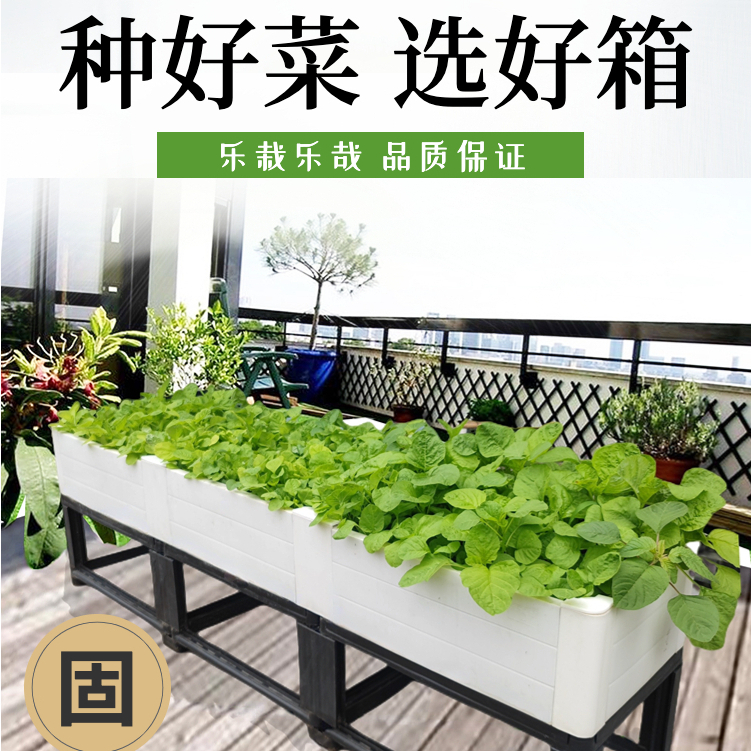 加高樓頂種菜專用箱 陽臺種菜盆蔬菜種植箱屋頂菜園種菜神器家庭