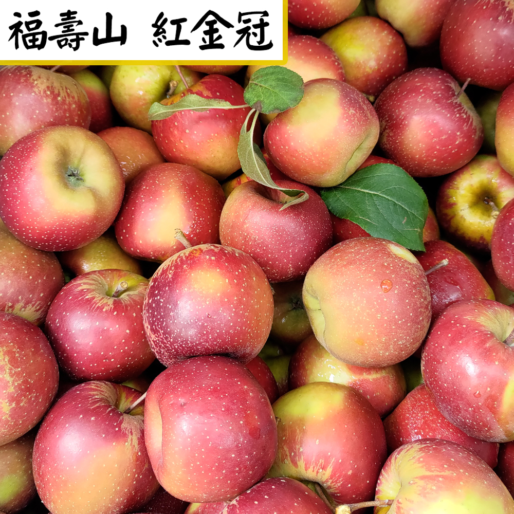【愛蜜果】大梨山區 福壽山紅金冠蘋果15顆禮盒 (免運)