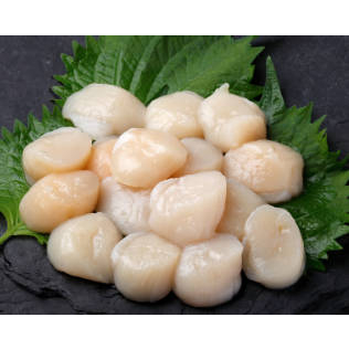 【八通食品】海道頂級2S刺身干貝1000g(約36-40顆)／台中可自取／日本料理／燒烤／生食干貝／干貝／大干貝