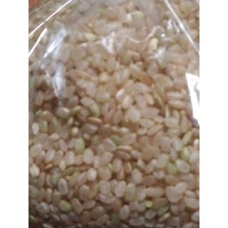 散裝糙米，1公斤1包