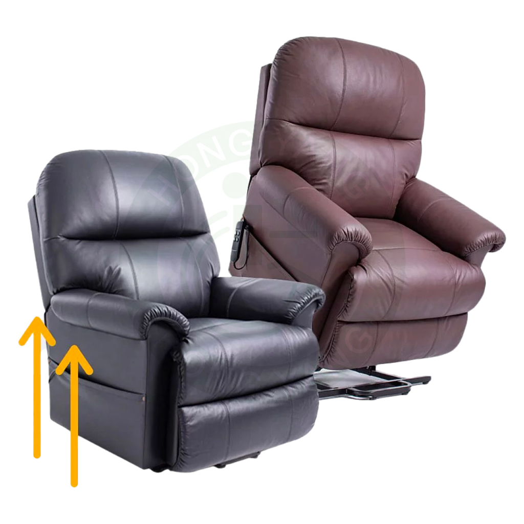 Eurocare 雙馬達-牛皮電動起身椅 可仰躺 可起身 附輪好移動 電動沙發 單人沙發 起身沙發 沙發椅