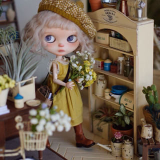 【預購】6分 微縮 法式圓頂收納櫃 書櫃 櫥櫃 櫃子 娃娃屋 家具 食玩 場景 袖珍模型 小布 莉卡 芭比