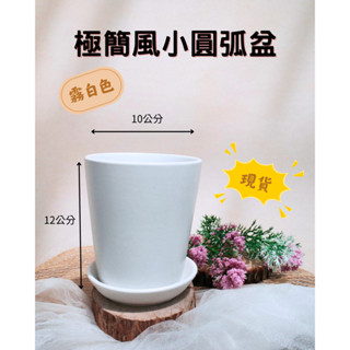 [現貨] 花器 圓盆 小品 簡約風 霧白色 植栽(附底盤)