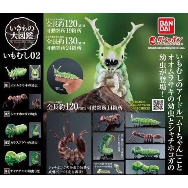 BANDAI 扭蛋 生物大圖鑑-芋蟲篇 02 昆蟲 幼蟲 毛毛蟲
