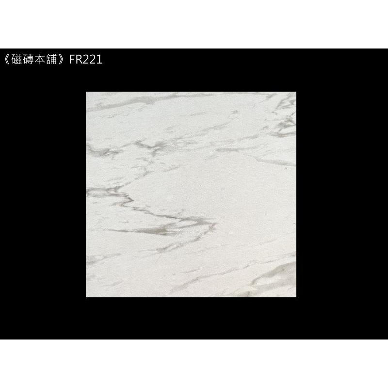 《磁磚本舖》FR221 白底銀狐紋止滑地磚 20x20cm 浴室地磚 止滑地磚 臺灣製造