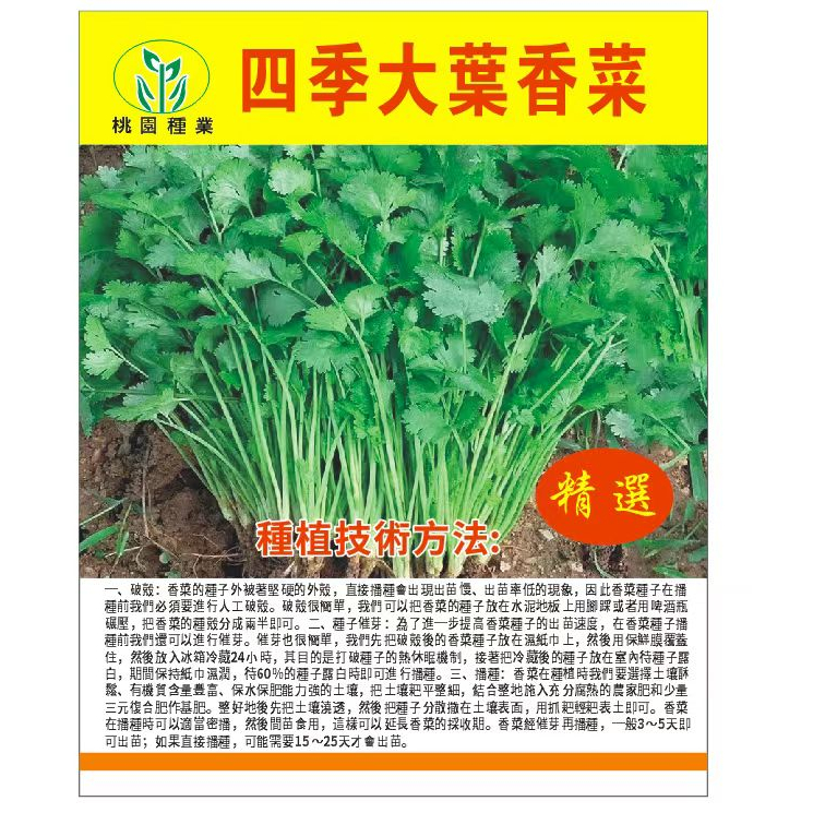 【原廠包裝】【香菜種子】四季盆栽蔬菜種籽 超高發芽箓老品種小香菜籽種