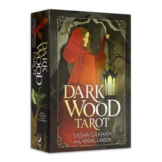 幽暗森林塔羅,贈中文翻譯｜llewellyn dark wood tarot，穿越黑暗進入光明【左西】