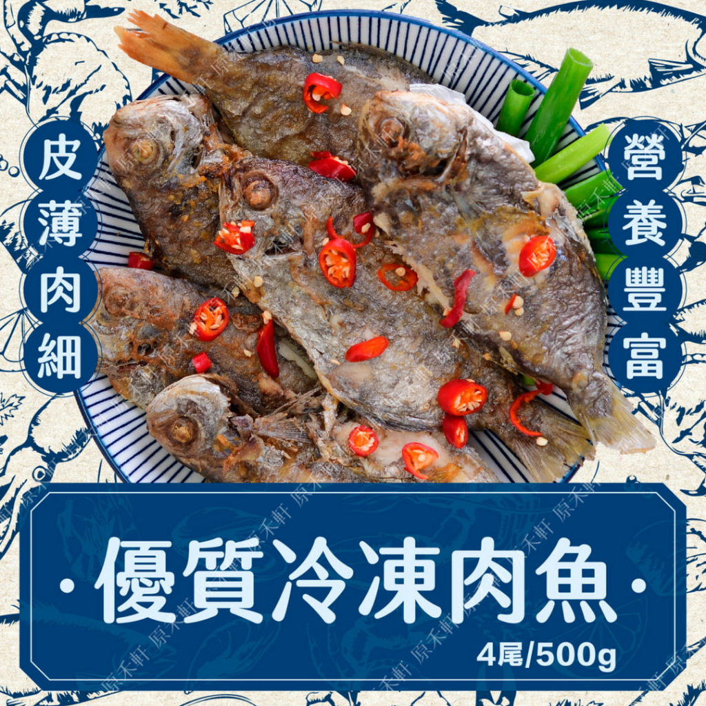 【野生捕撈】鮮凍肉魚(4尾/500公克) 刺鯧 肉魚 肉鯽仔 肉鯽 瓜仔鯧 肉鯧魚