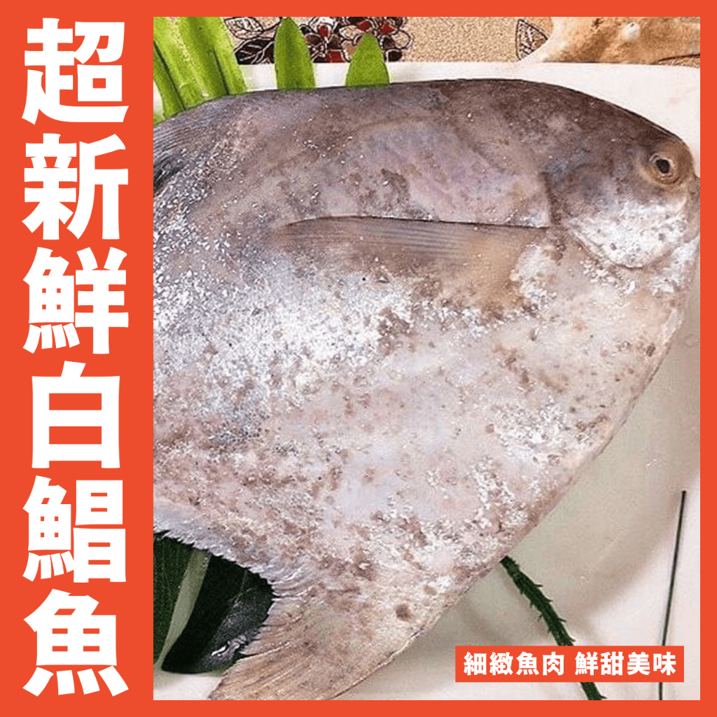【鮮煮義美食街】超鮮 白鯧魚 大白鯧 重量：300-400克